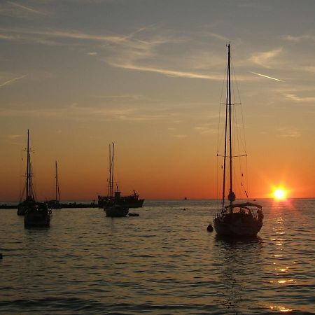 Tamaris Apartment Novigrad  Bagian luar foto