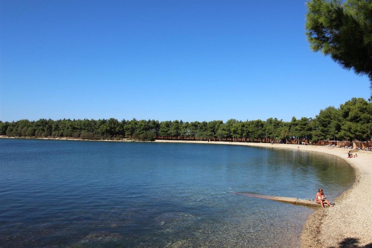 Tamaris Apartment Novigrad  Bagian luar foto