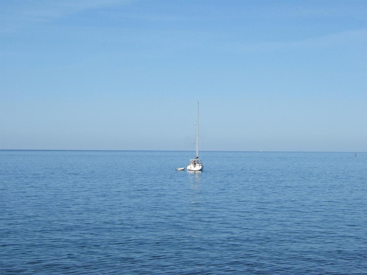 Tamaris Apartment Novigrad  Bagian luar foto